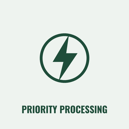 Order processing priority